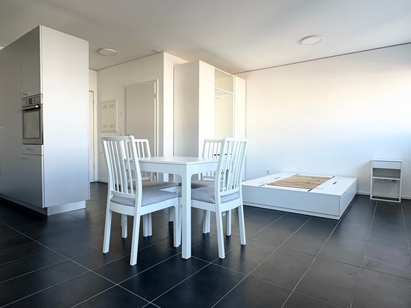 Ammobiliato, in posizione centrale e vicino ai principali servizi 3