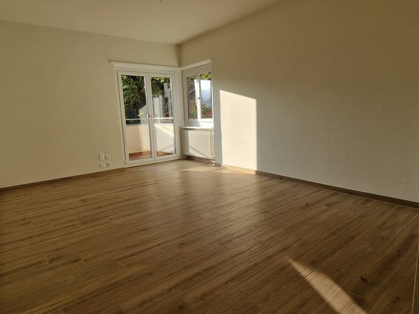 Appartamento 4.5 loclali ristrutturato con ottime rifiniture e vicino a tutte le comodità 3