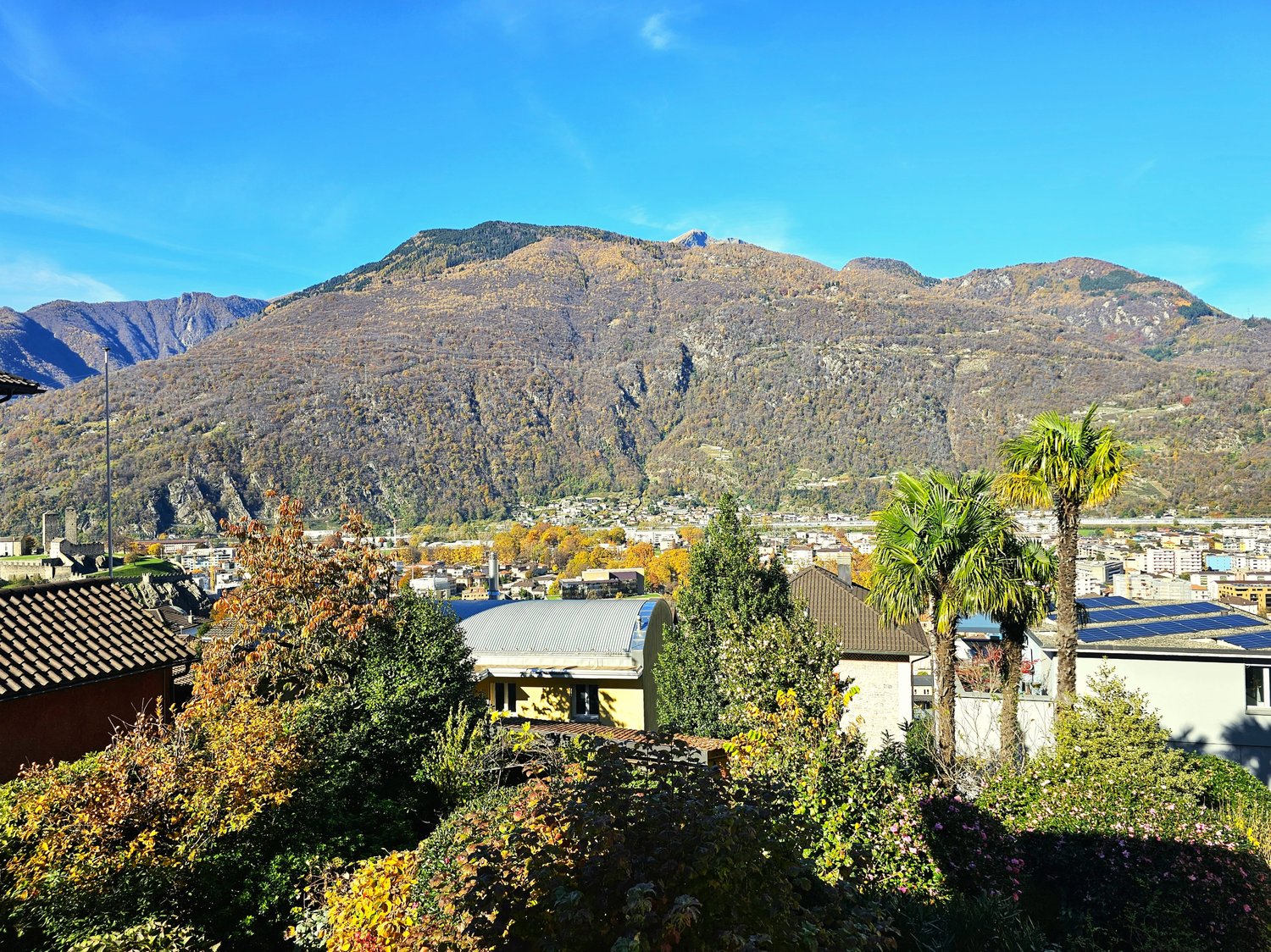 Aerial view of a town with mountains in the background, several buildings, trees, and solar panels