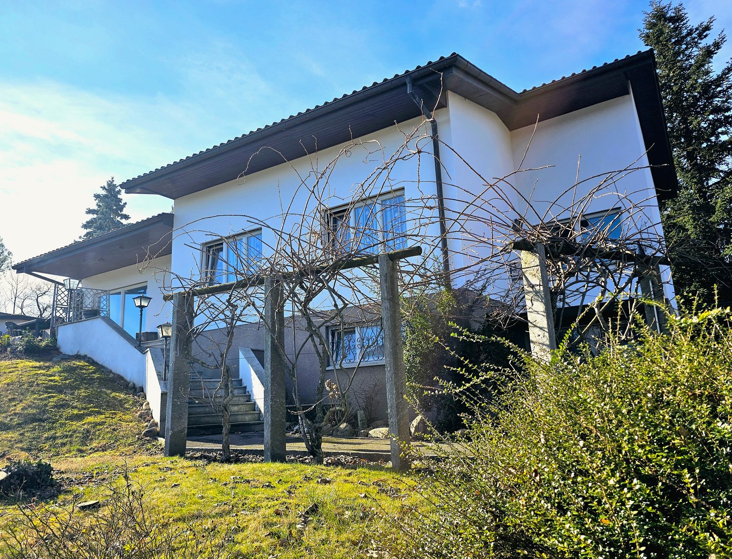 Modern white house on slope, with 2 windows and metal trellis in front