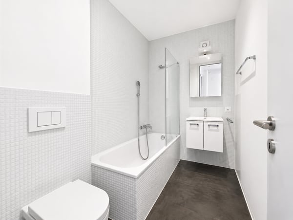 Chiasso: Affittasi moderno appartamento 1.5 locali in villa storica rinnovata 8
