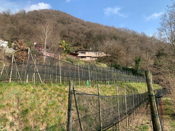 BEL TERRENO EDIFICABILE 1