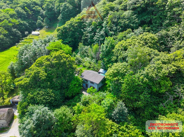 Casa immersa nel verde / Haus mitten im Grünen