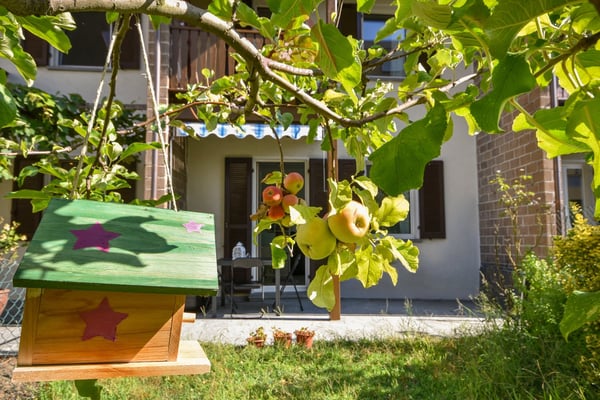 Deliziose casette a schiera a Solduno / Wunderschöne Reihenhäuser in Solduno 11