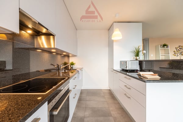 3.5 locali moderno e luminoso / 3.5-Zimmer-Wohnung, modern und sonnig 4