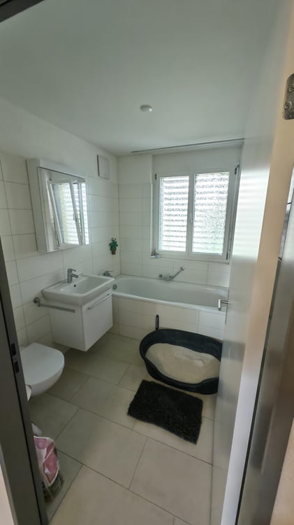 3.5 Zimmerwohnung in Seengen 2