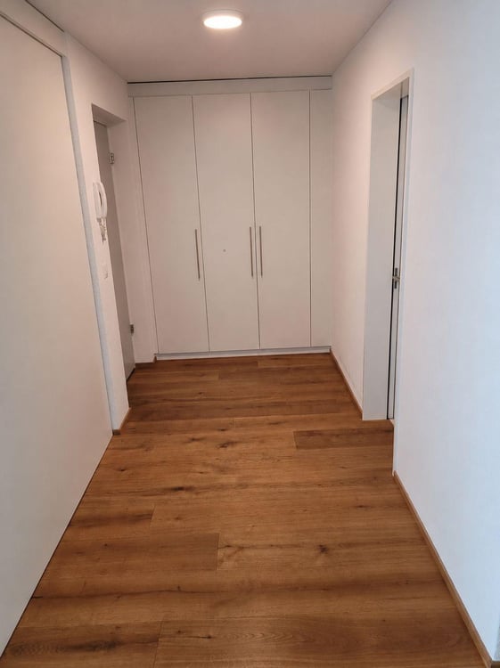 4.5 Zimmerwohnung in Luzern 2