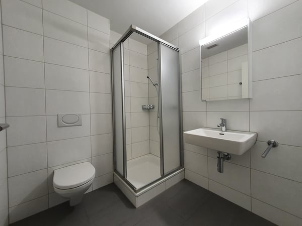 3.5 Zimmerwohnung in Kriens 8