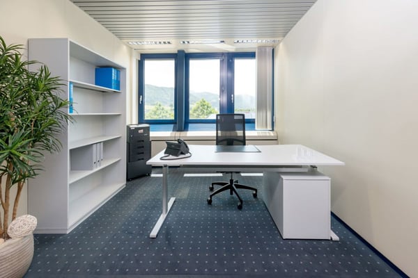 Basic Office [Büro mit vielen Zusatzleistungen] 1