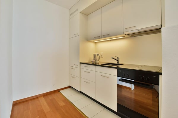 Grande 1.5 locali con vista lago 7