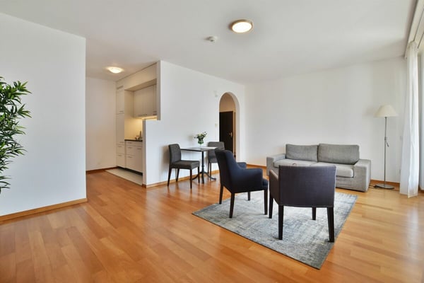 Grande 1.5 locali con vista lago 4