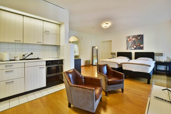 Grande 1.5 locali completamente arredato 3