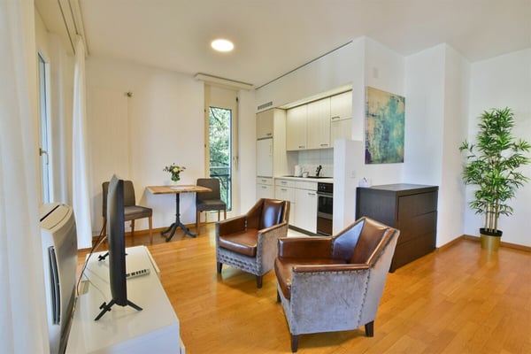 Grande 1.5 locali completamente arredato 4