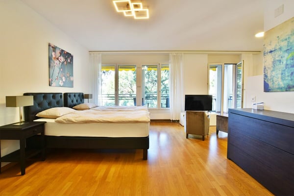 Grande 1.5 locali completamente arredato 2