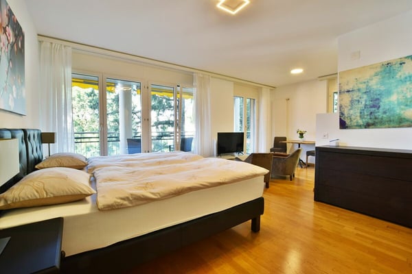 Grande 1.5 locali completamente arredato 5