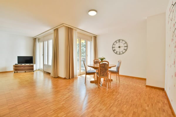 Luminoso 1.5 locali ammobiliato con vista sul parco 2