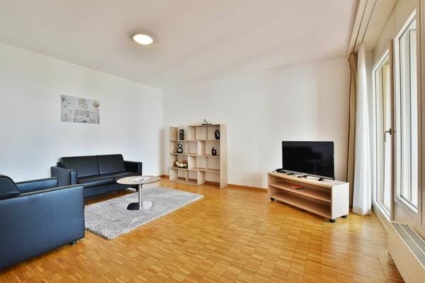 Luminoso 1.5 locali ammobiliato con vista sul parco 3