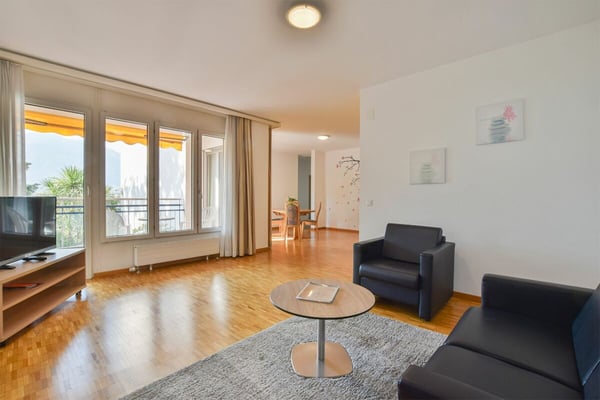 Luminoso 1.5 locali ammobiliato con vista sul parco 1