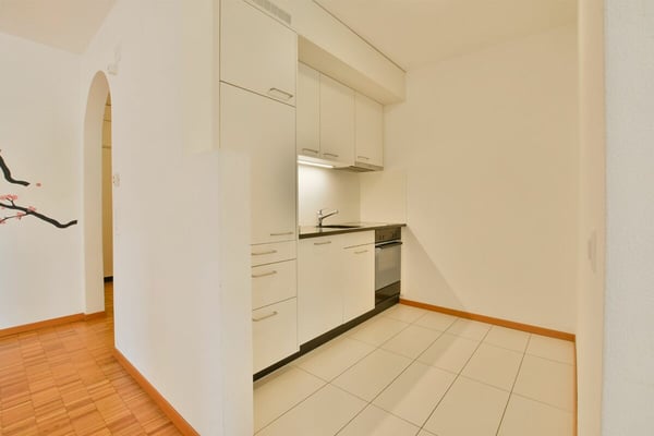 Luminoso 1.5 locali ammobiliato con vista sul parco 6