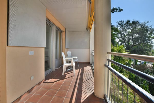 Luminoso 1.5 locali ammobiliato con vista sul parco 5