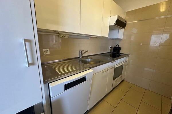 Appartamento ammobiliato 1.5 locali con splendida vista lago 7