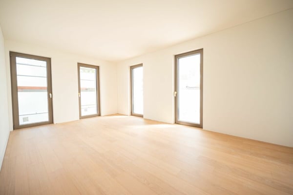 Palazzo Alby: ultimo 1.5 locali in prima locazione 3