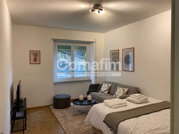 Spazioso monolocale arredato a Lugano 7