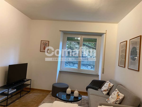 Spazioso monolocale arredato a Lugano 8