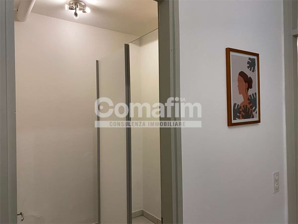 Spazioso monolocale arredato a Lugano 6