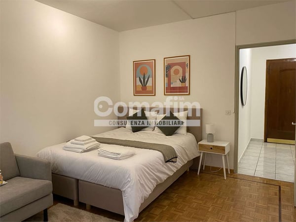 Spazioso monolocale arredato a Lugano 4