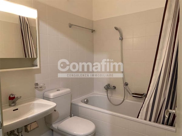 Spazioso monolocale arredato a Lugano 5