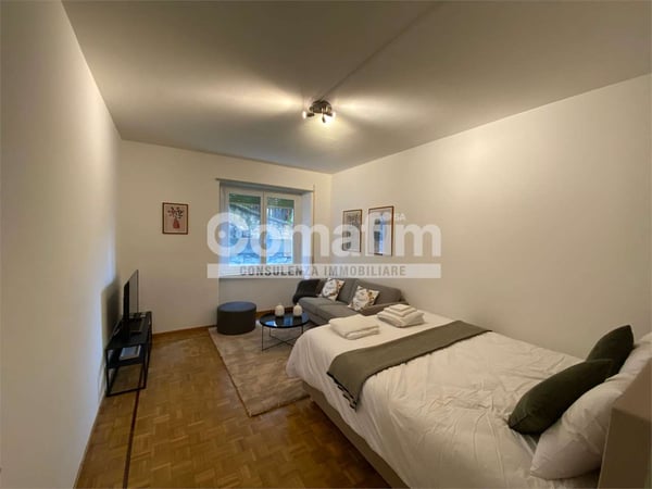 Spazioso monolocale arredato a Lugano 1
