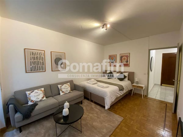 Spazioso monolocale arredato a Lugano 2