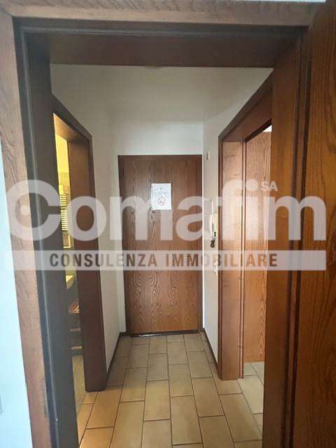 Monolocale Zeta con cucina separata a Lugano 10