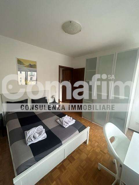 Monolocale Zeta con cucina separata a Lugano 3