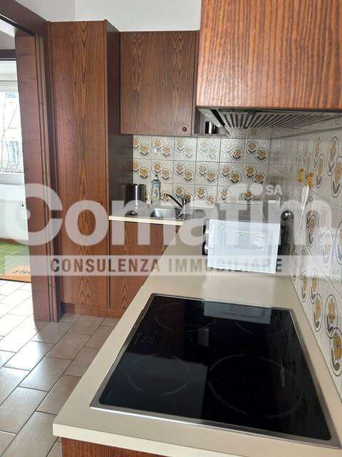 Monolocale Zeta con cucina separata a Lugano 8