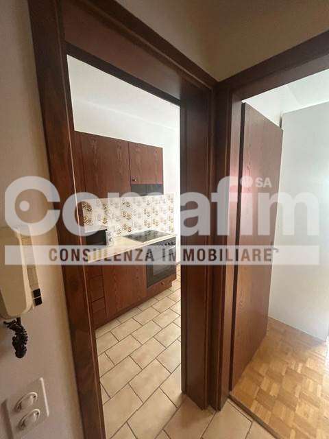 Monolocale Zeta con cucina separata a Lugano 11