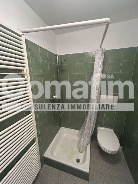 Monolocale Zeta con cucina separata a Lugano 12