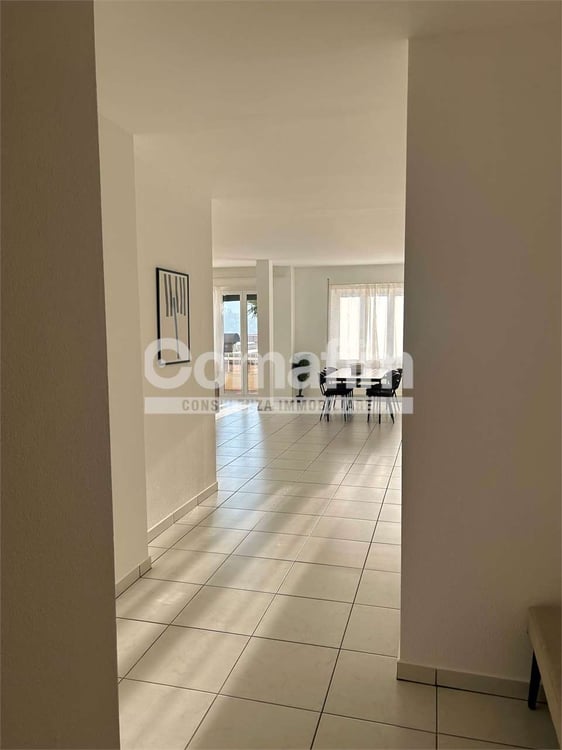 Stupendo 1.5 locali arredato con vista lago 3