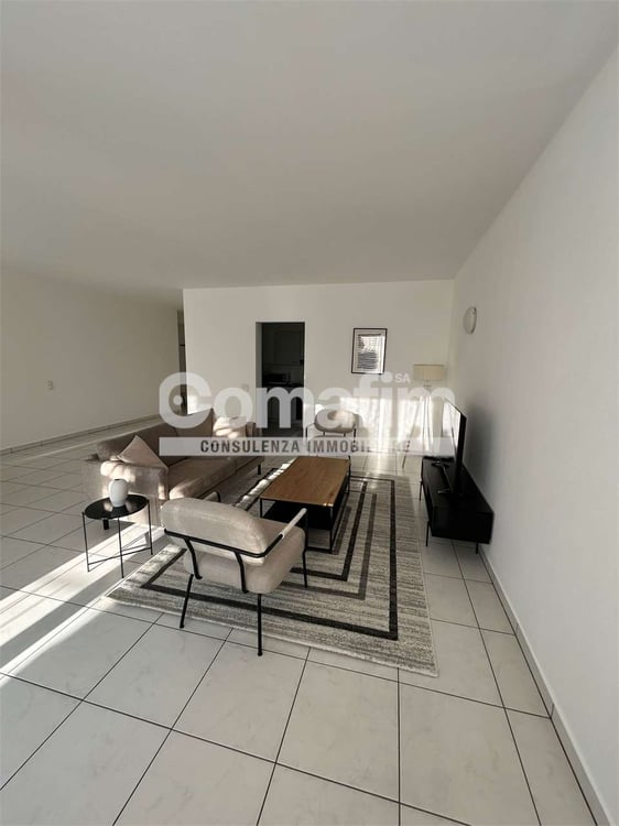 Stupendo 1.5 locali arredato con vista lago 6