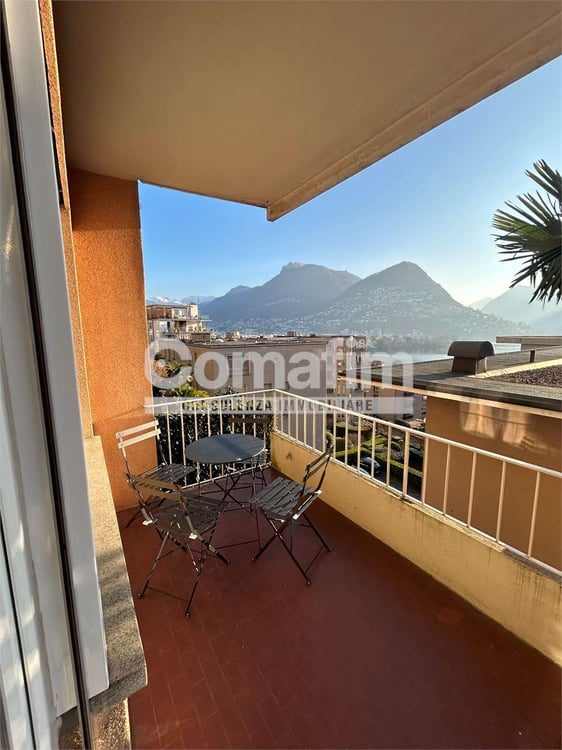 Stupendo 1.5 locali arredato con vista lago 8