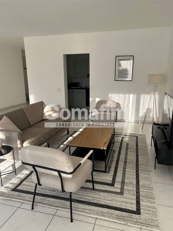 Stupendo 1.5 locali arredato con vista lago 7