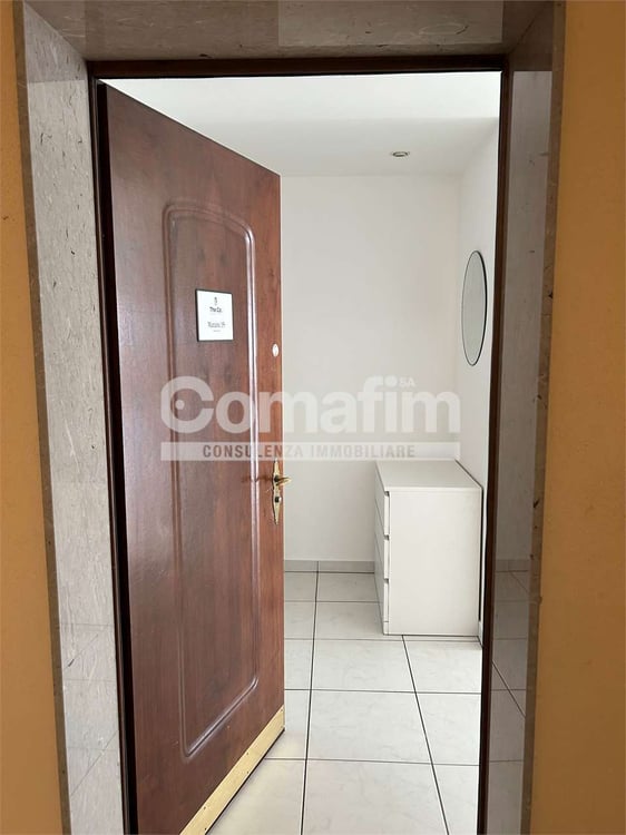 Stupendo 1.5 locali arredato con vista lago 2