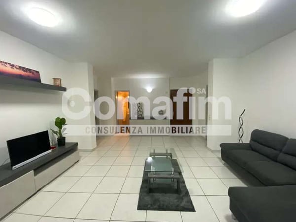 Spazioso bilocale arredato a Lugano 3