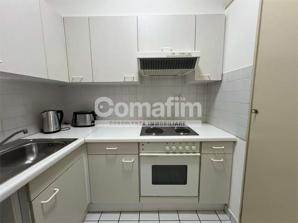 Appartamento ammobiliato 2.5 locali a Lugano 12