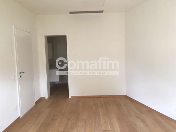 Lugano, ampio appartamento 1 1/1 loc. con giardino 6