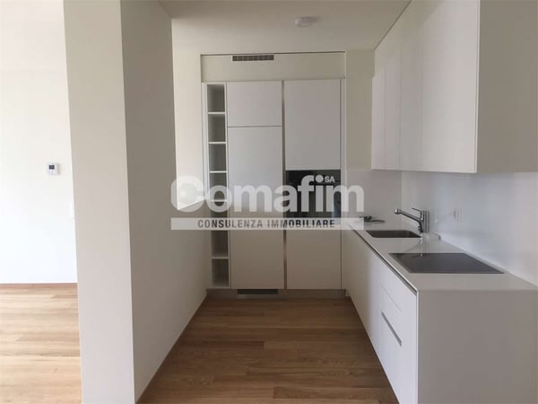 Lugano, ampio appartamento 1 1/1 loc. con giardino 4