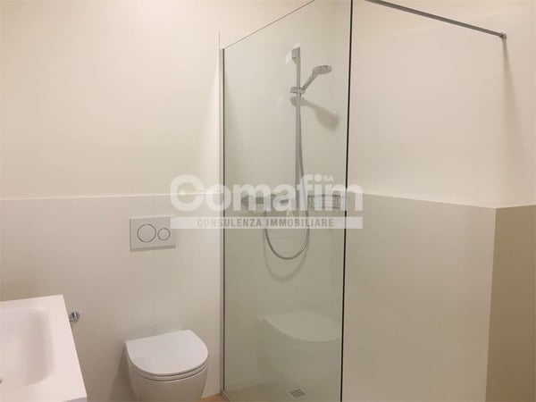 Lugano, ampio appartamento 1 1/1 loc. con giardino 8