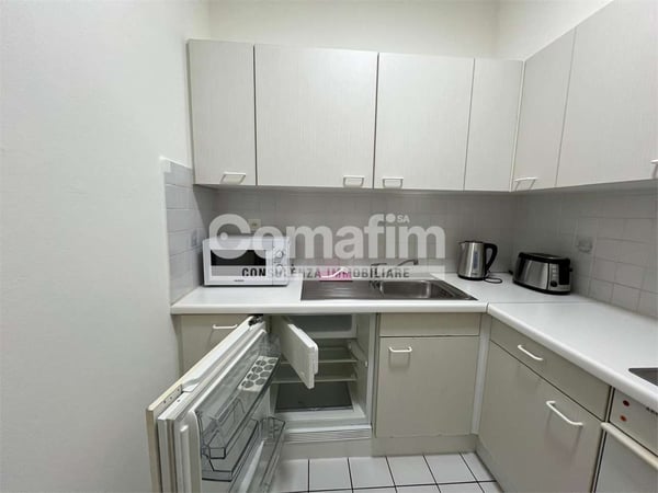 Appartamento ammobiliato 2.5 locali a Lugano 13