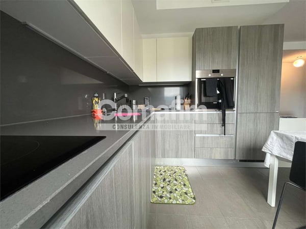 Subentro Cercasi - App. 1.5 Locali Bellinzona 4